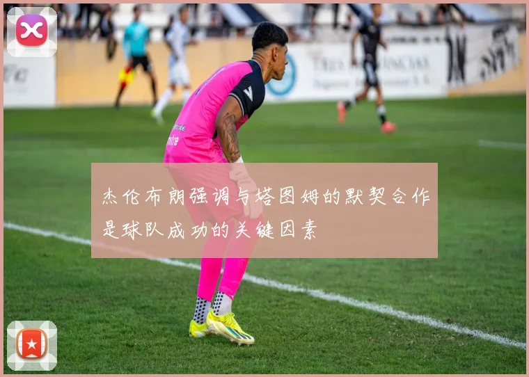 杰伦布朗强调与塔图姆的默契合作是球队成功的关键因素
