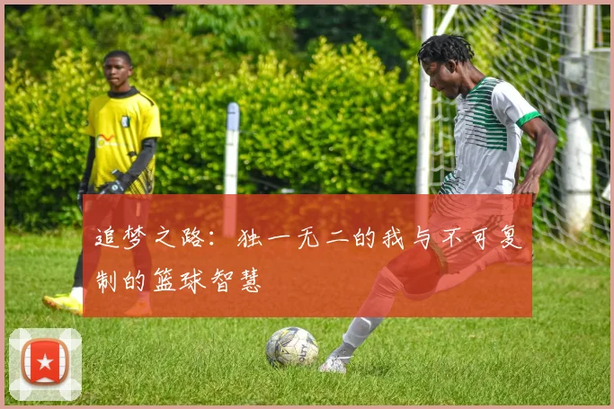 追梦之路：独一无二的我与不可复制的篮球智慧