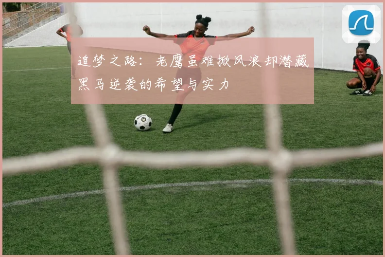 追梦之路：老鹰虽难掀风浪却潜藏黑马逆袭的希望与实力